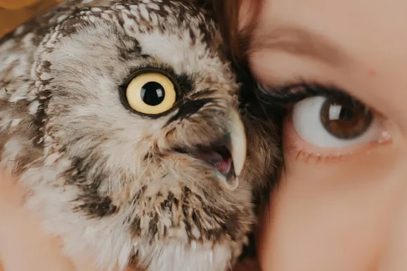 Casino Fever Bingo Ondersteuning